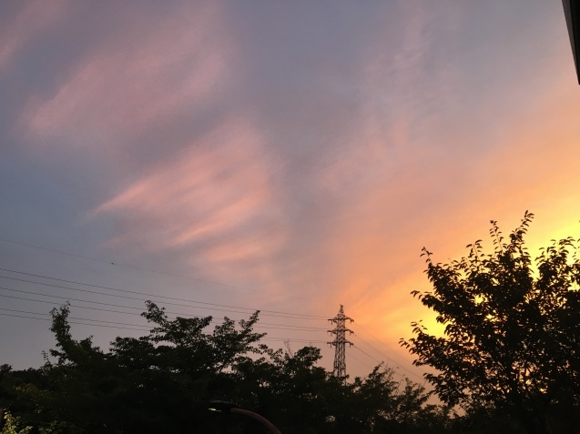 c0038722_10410074.jpeg