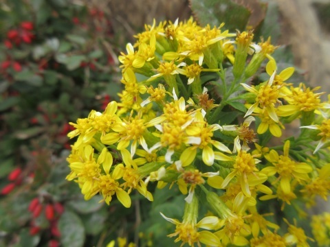 f0149422_22472083.jpg