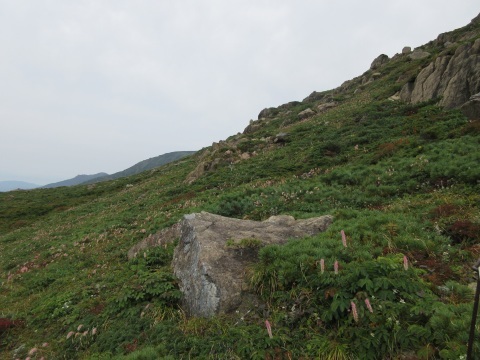f0149422_22481597.jpg