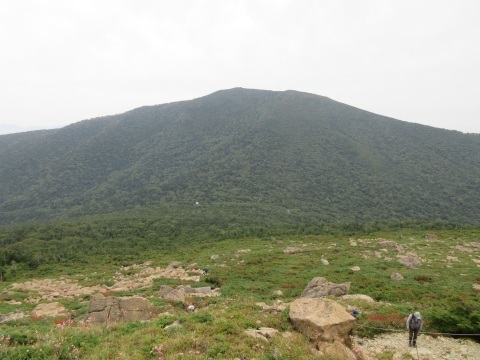 f0149422_22485304.jpg