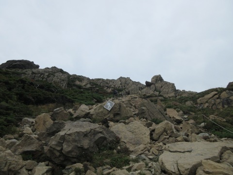 f0149422_22491598.jpg