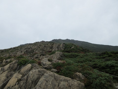 f0149422_22493377.jpg