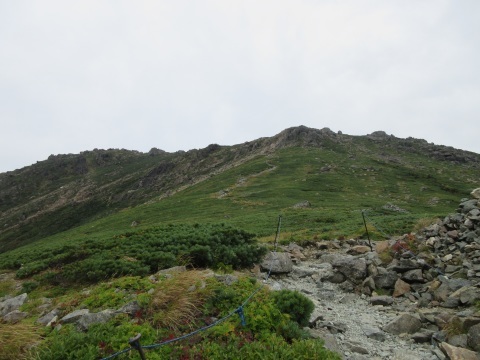 f0149422_22495472.jpg