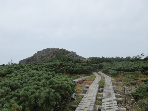 f0149422_22514979.jpg