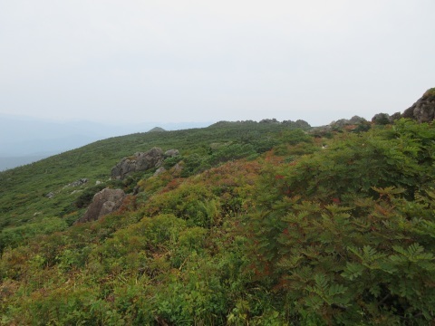 f0149422_22523386.jpg