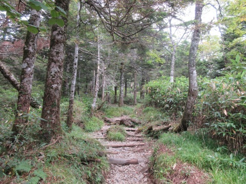 f0149422_23295739.jpg