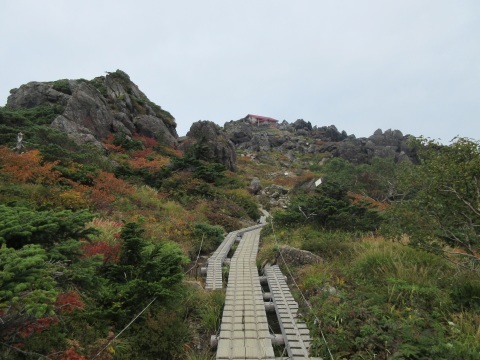 f0149422_23303913.jpg