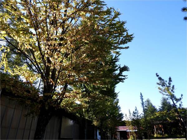 週末の天気と気温 9月3週目 北軽井沢スウィートグラス 週末の天気と気温 9月3週目 北軽井沢スウィートグラス