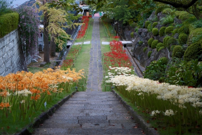 【西方寺】_f0348831_21255511.jpg