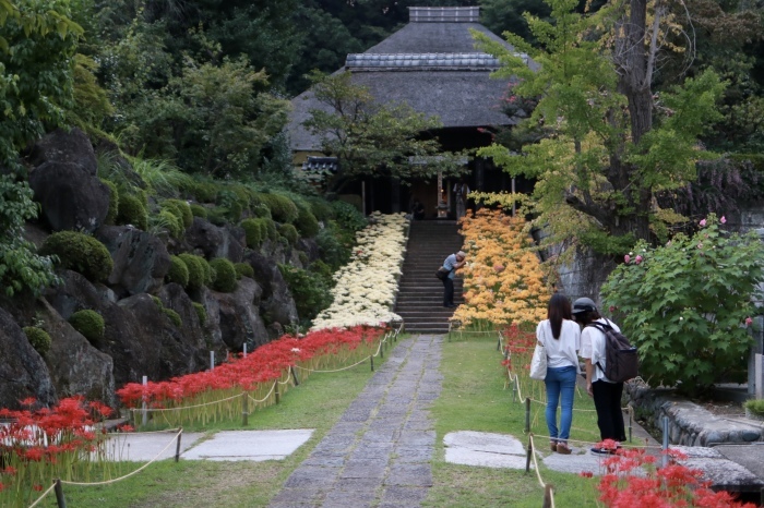 【西方寺】_f0348831_21261657.jpg