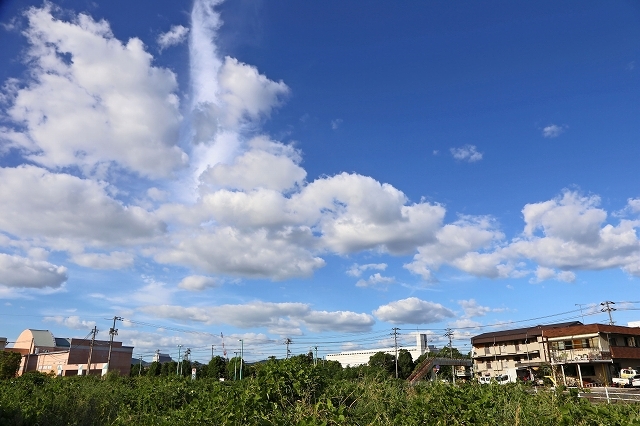 a0242438_19543012.jpg