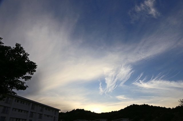 a0242438_19562596.jpg