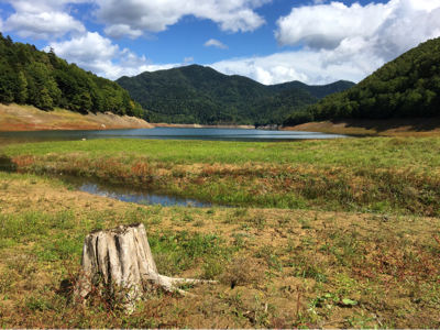 b0260738_14315715.png