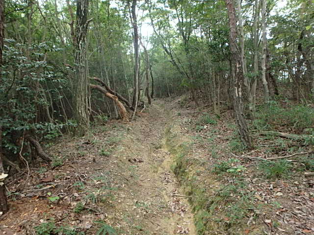 f0334143_6505434.jpg