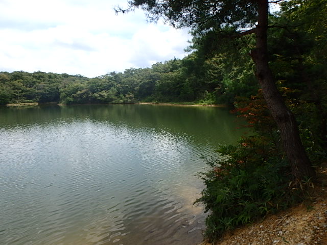 f0334143_650728.jpg