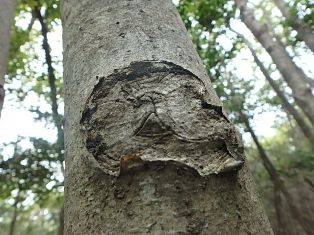 f0334143_6544255.jpg
