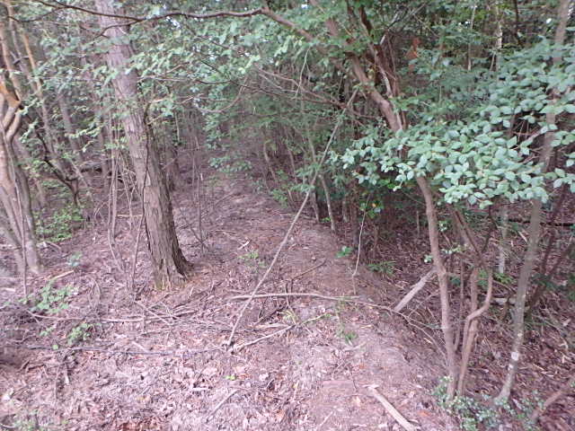f0334143_6563654.jpg