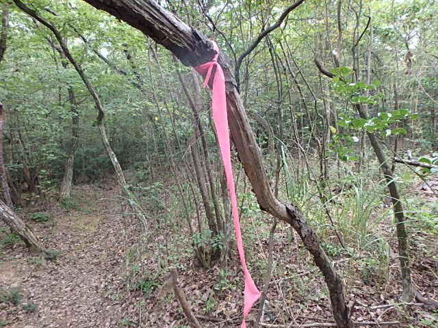 f0334143_711536.jpg