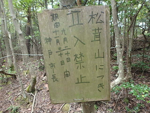 f0334143_755083.jpg