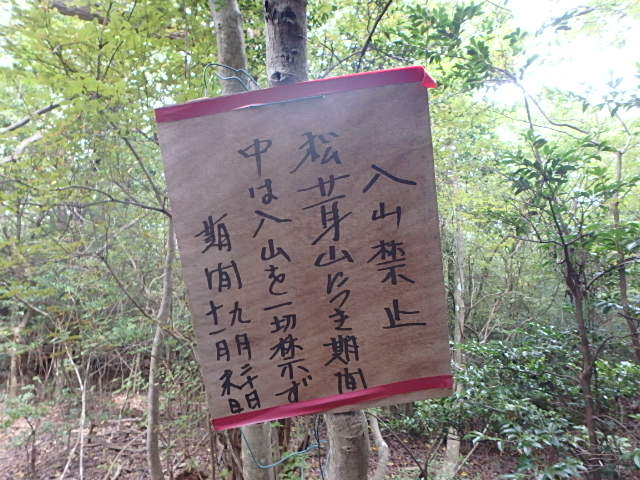 f0334143_775688.jpg