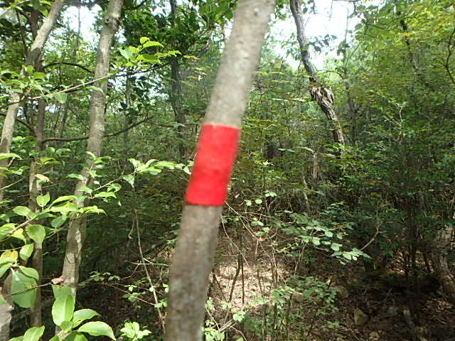 f0334143_782640.jpg