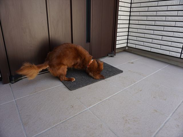 d0336846_23011781.jpg