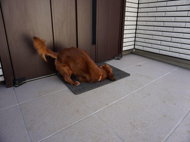 d0336846_23011842.jpg