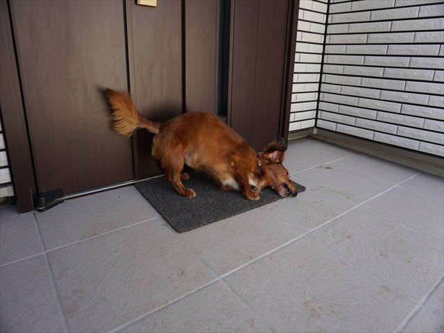 d0336846_23012567.jpg