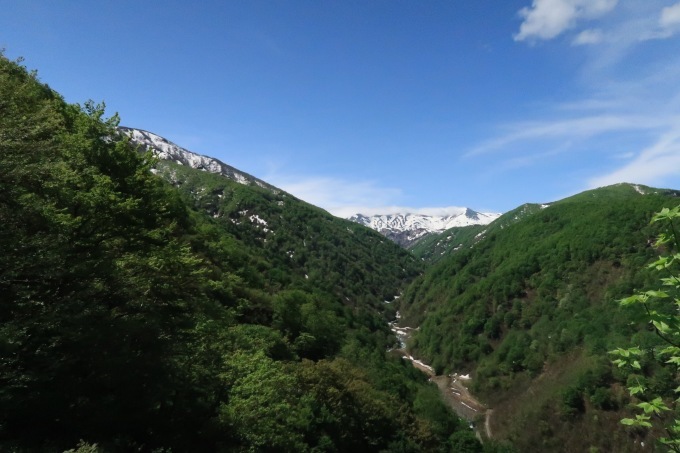 e0329049_14130429.jpg