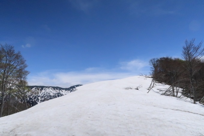 e0329049_14155418.jpg