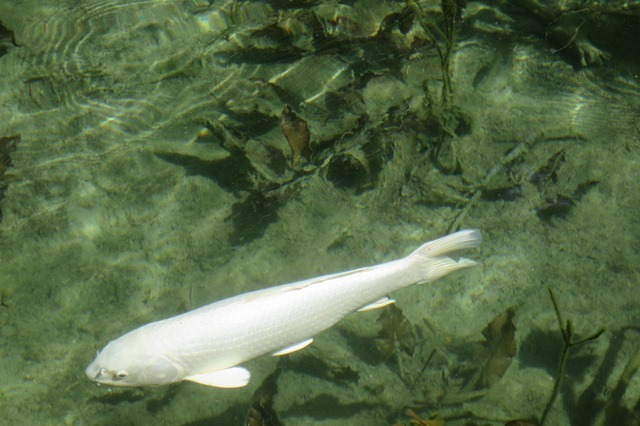 f0202151_19565988.jpg
