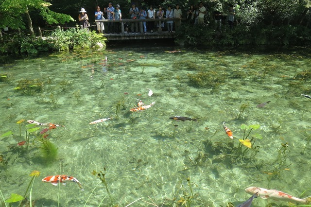 f0202151_19574136.jpg
