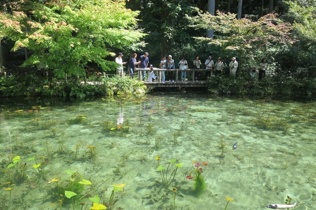 f0202151_19580432.jpg