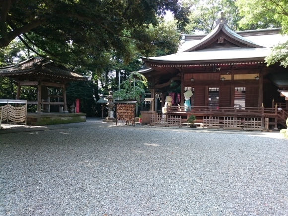 ♪ ダニエル 座間神社へお参り＆licaさんのお見舞い～(#^.^#) ♪_b0242873_17283051.jpg