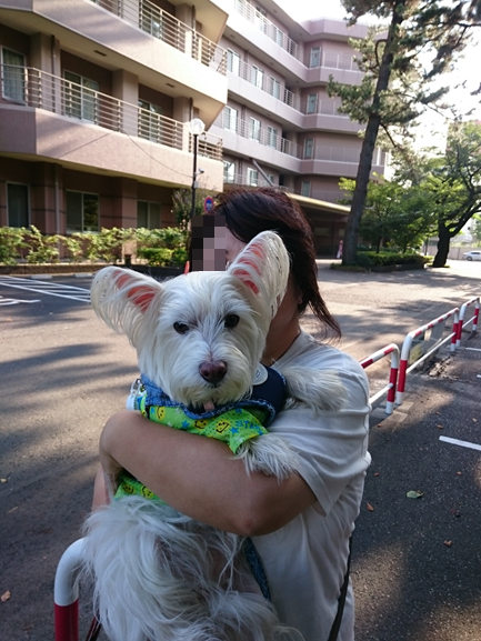 ♪ ダニエル 座間神社へお参り＆licaさんのお見舞い～(#^.^#) ♪_b0242873_18113046.png