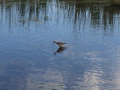 プリンスエドワード島国立公園　グリニッジ_c0353373_01301397.jpg