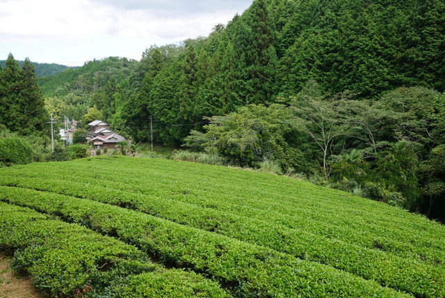 b0358575_18394284.jpg