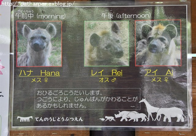 ２０１７年９月 天王寺動物園 その６ ドリルのドン ハープの徒然草