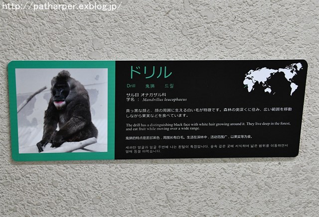 ２０１７年９月 天王寺動物園 その６ ドリルのドン ハープの徒然草