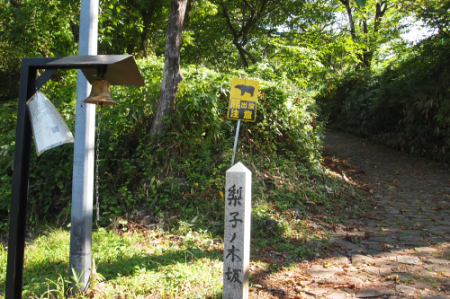 b0223592_16171363.png