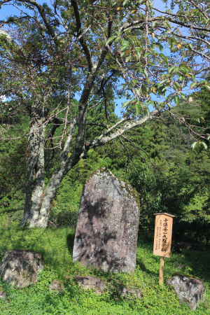 b0223592_16235512.png