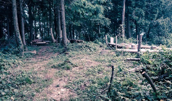 e0176993_07494711.jpg