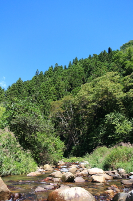 e0174008_09561485.jpg