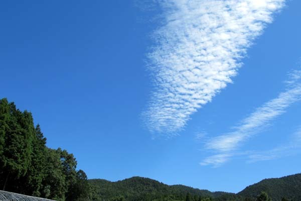 秋の空　菜園_e0048413_09142724.jpg