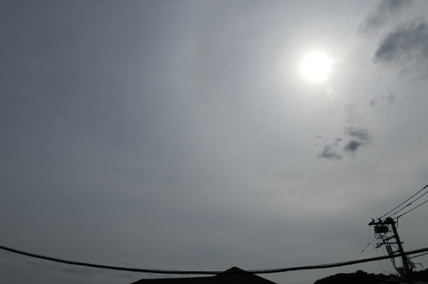 f0369014_19204152.jpg