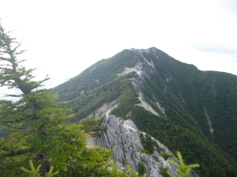d0170615_08342846.jpg