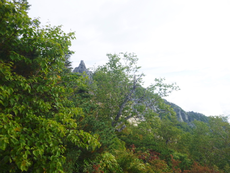 d0170615_08344348.jpg