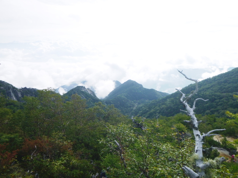 鳳凰三山　地蔵岳から観音岳(2,840.7M) に向かう  NO １_d0170615_08345168.jpg