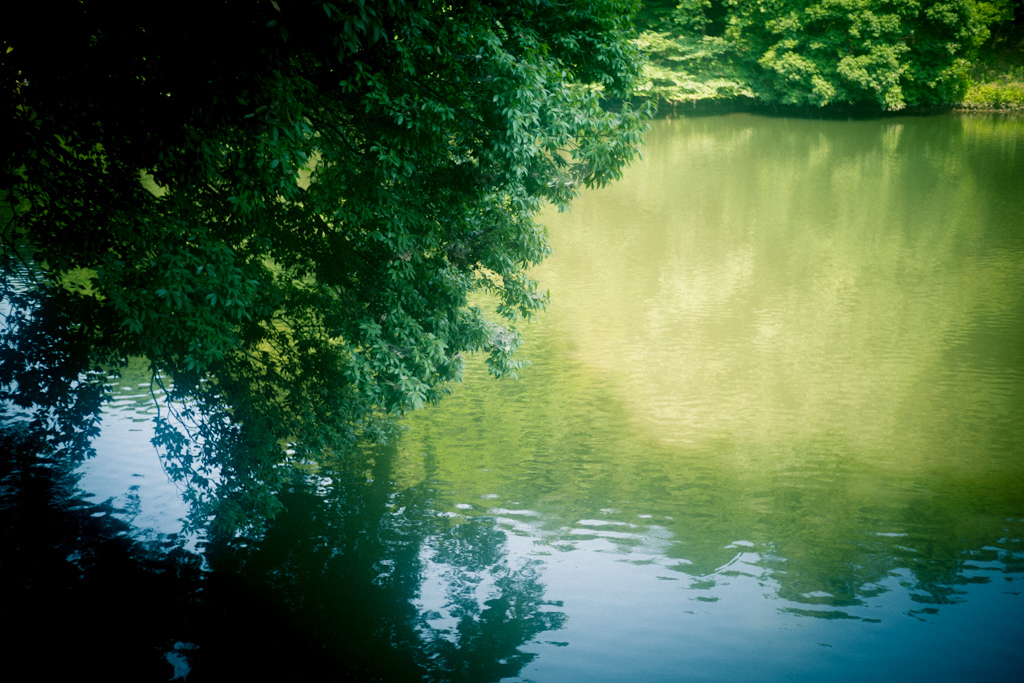 d0161322_07445916.jpg