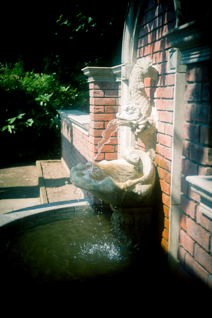d0161322_07450388.jpg